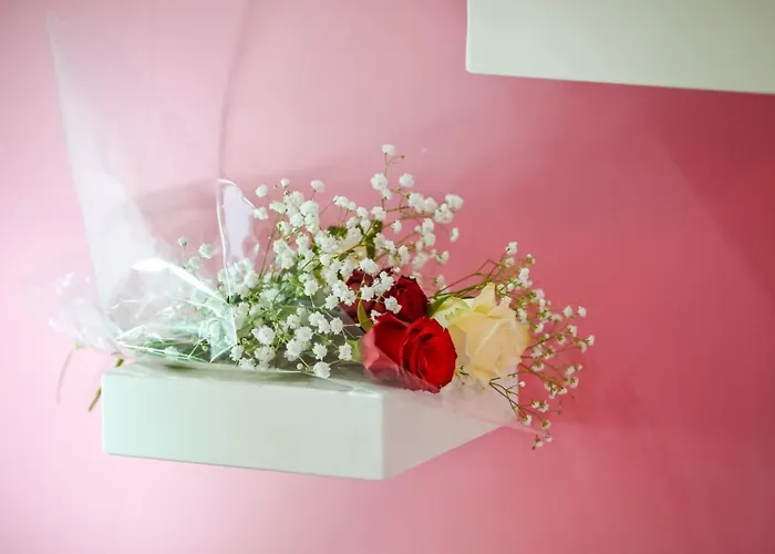 Willa Valentina Kala Nera